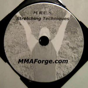 Stress Relief Fitness Weight Loss DVD Manual Internal Shaolin Kung Fu Training